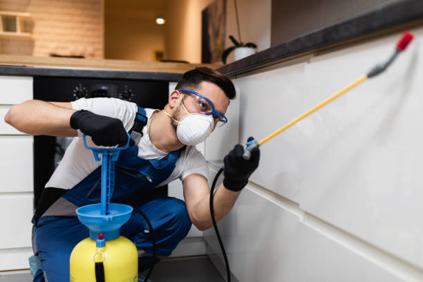 Best Pest Prevention Services  in Monrovia, IN
