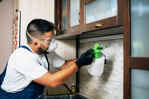 Best Local Pest Control Services  in Monrovia, IN