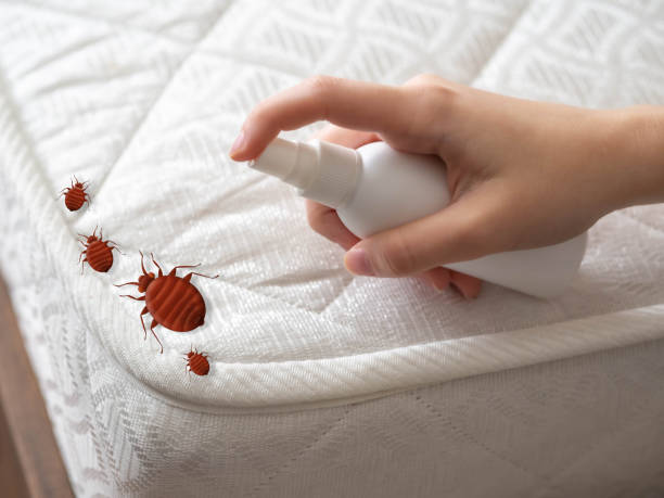 Best Spider Control Near Me  in Monrovia, IN