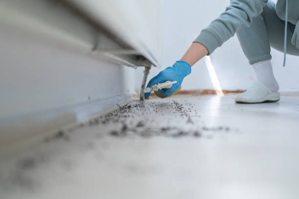 Pest Control Cost in Monrovia, IN